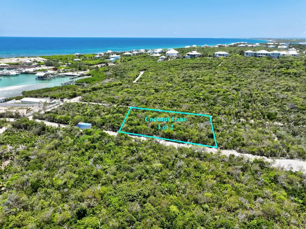 Coconut Lane Lot 2 Abaco BS — photo 4