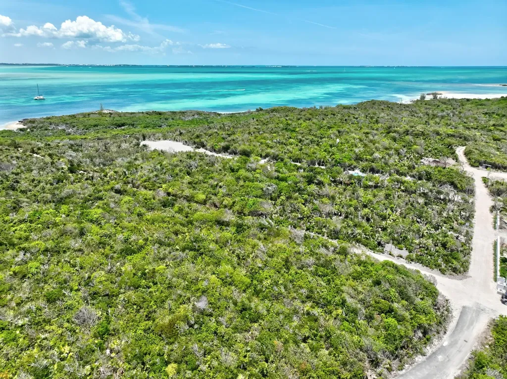 Coconut Lane Lot 2 Abaco BS — photo 7