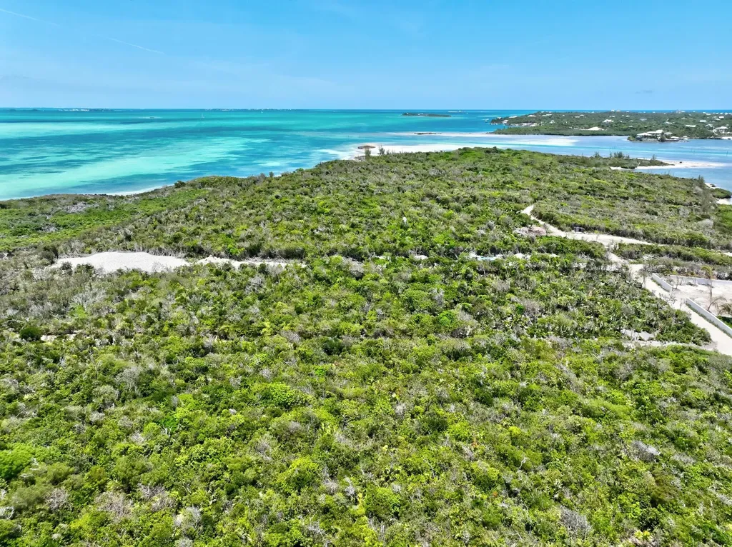 Coconut Lane Lot 2 Abaco BS — photo 8