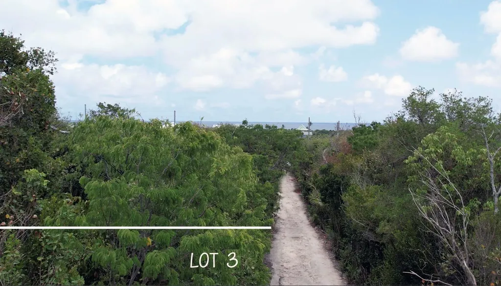 Fish Point Abaco BS — photo 7