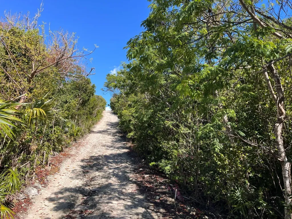 Fish Point Abaco BS — photo 9