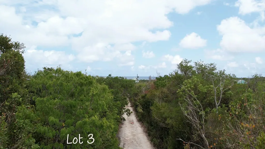 Fish Point Abaco BS — photo 10