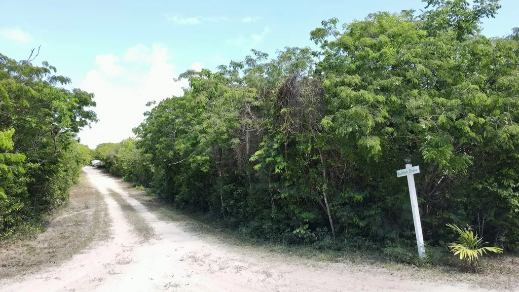 Lot 27, Lubbers Quarters Abaco BS — photo 12