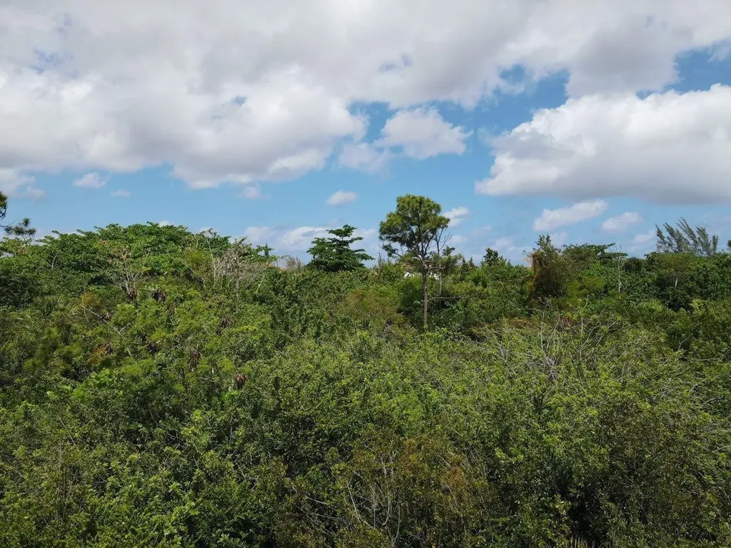 Lot 2, San Salvador San Salvador BS — photo 2