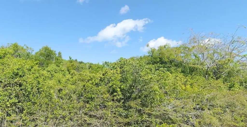 Lot 2, San Salvador San Salvador BS — photo 4