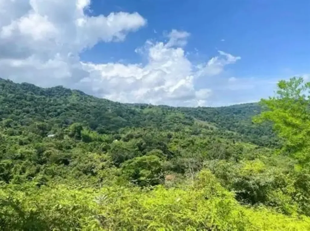 Lot 2, San Salvador San Salvador BS — photo 5