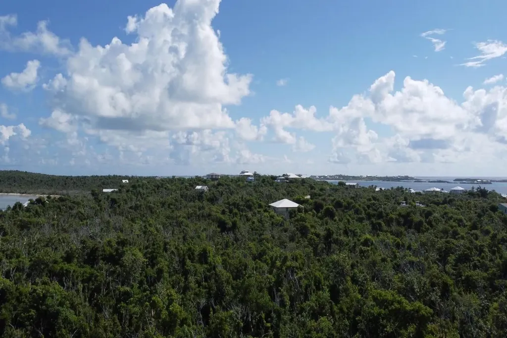 Lot 101, Abaco Ocean Club Abaco BS — photo 7