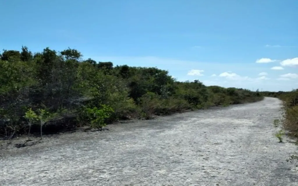 Lot 26 Columbus Landing San Salvador BS — photo 11