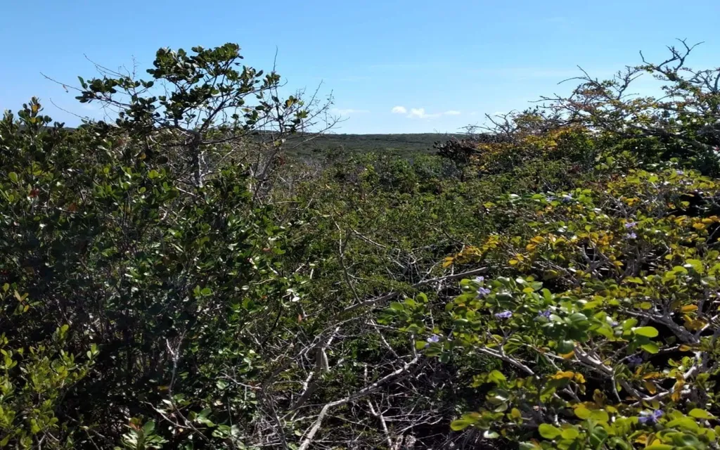 Lot 26 Columbus Landing San Salvador BS — photo 12