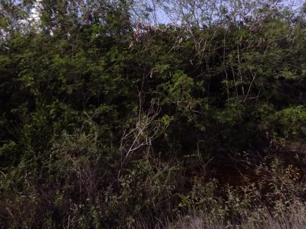 Lot 26 Columbus Landing San Salvador BS — photo 4