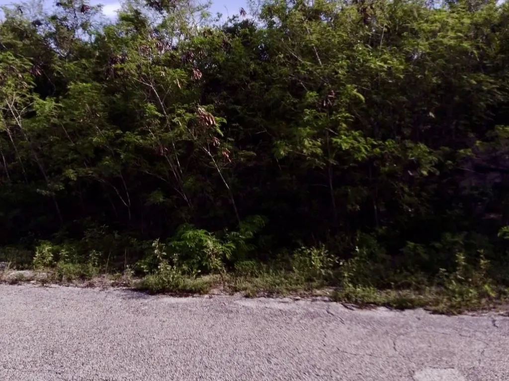 Lot 26 Columbus Landing San Salvador BS — photo 5