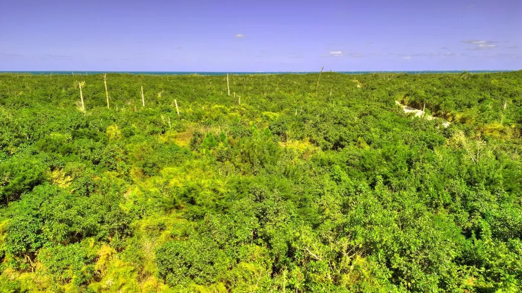 39 Acres Baker's Heights Abaco BS — photo 8