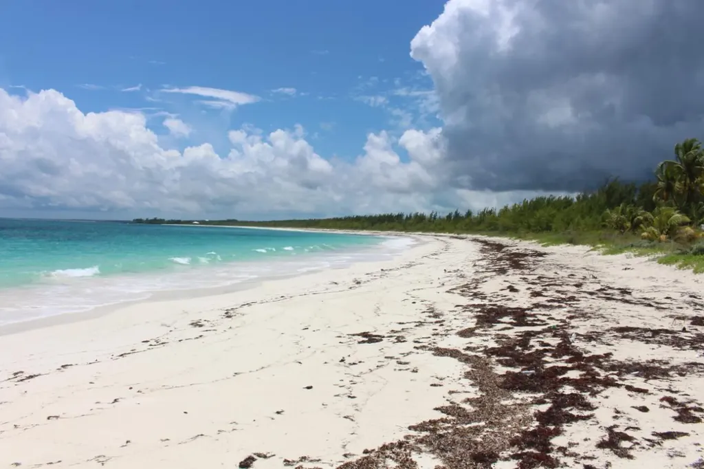 Seagrape Drive 34 Abaco BS — photo 12