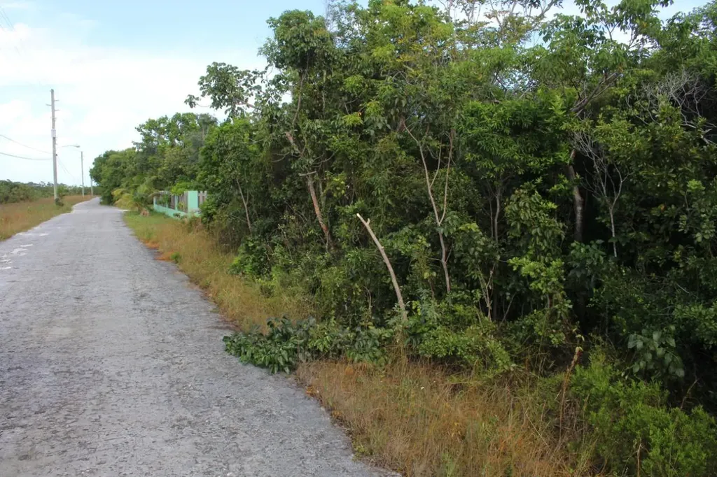 Seagrape Drive 34 Abaco BS — photo 10