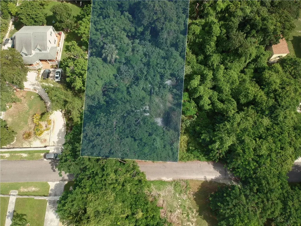 Blackbeard Terrace Subdiv #18 New Providence Paradise Island BS — photo 4