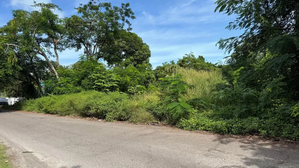 Blackbeard Terrace Subdiv #18 New Providence Paradise Island BS — photo 7