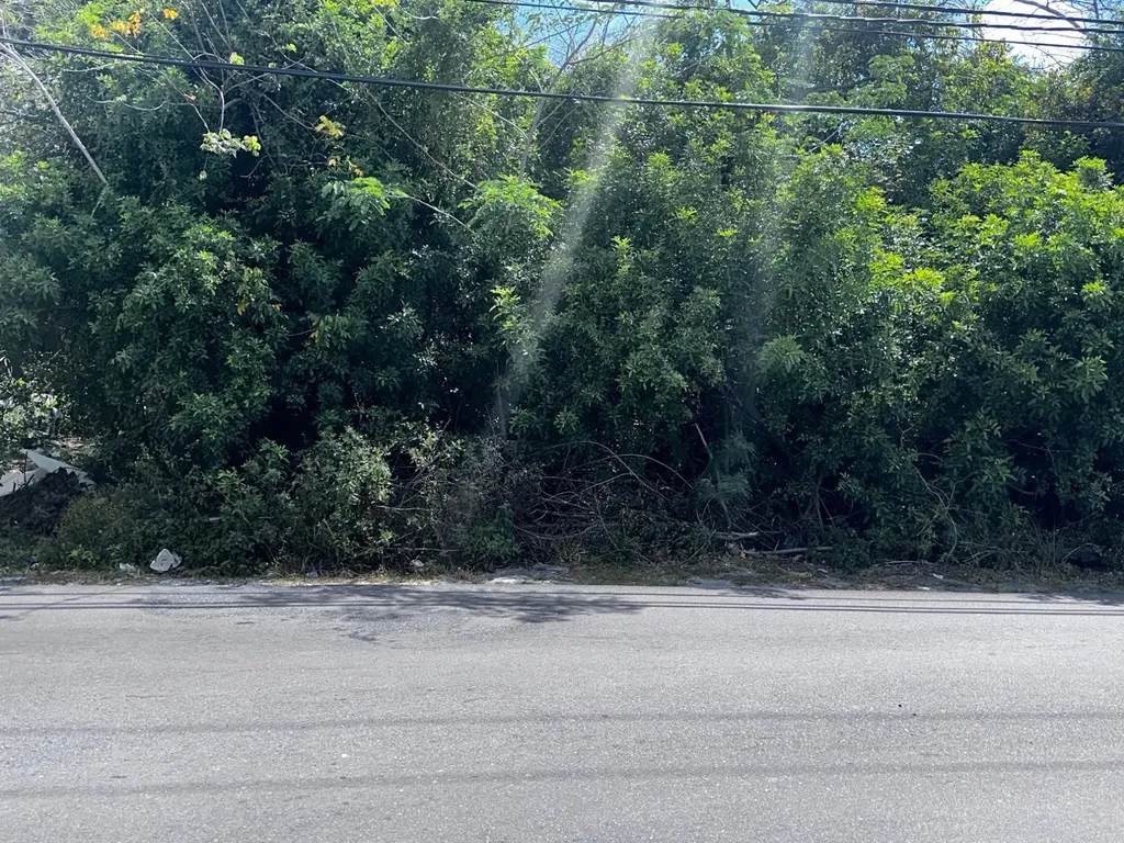 Faith Avenue North 1.4 Acres New Providence Paradise Island BS — photo 5