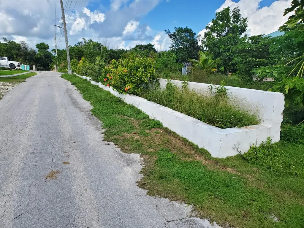 Pelican Shores/duck Pond Abaco BS — photo 7