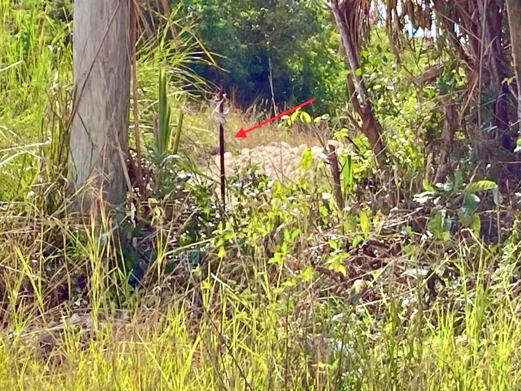 Refuge Ct Multifamily Lot New Providence Paradise Island BS — photo 10