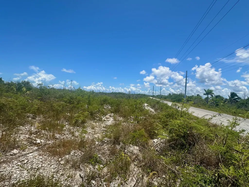 Bustic Bight Abaco BS — photo 5