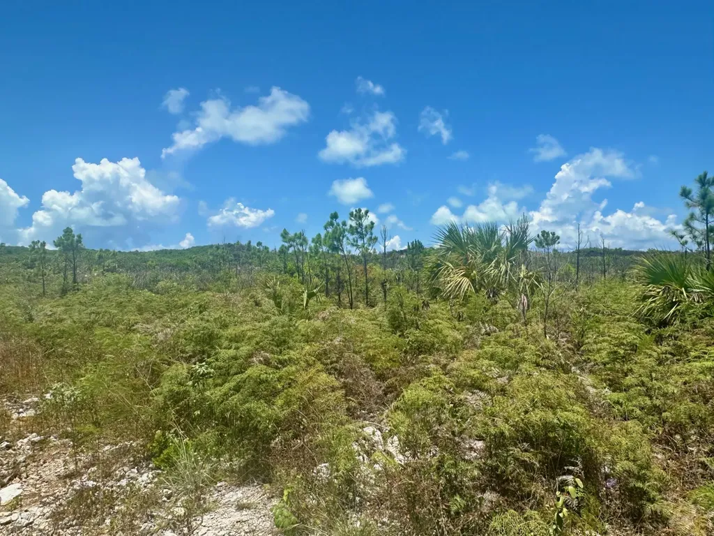 Bustic Bight Abaco BS — photo 3