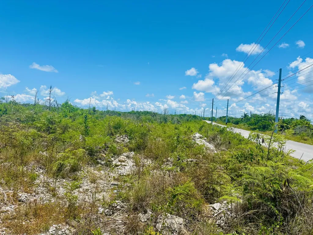 Bustic Bight Abaco BS — photo 4