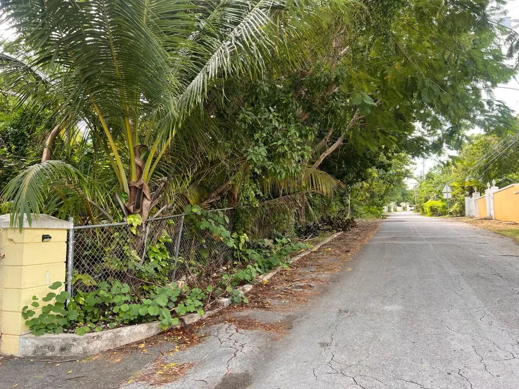 Chancery Lane Off Eastern New Providence Paradise Island BS — photo 3