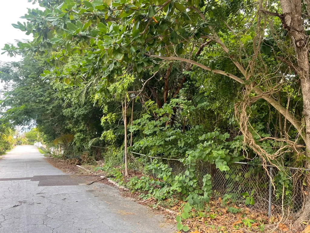 Chancery Lane Off Eastern New Providence Paradise Island BS — photo 4
