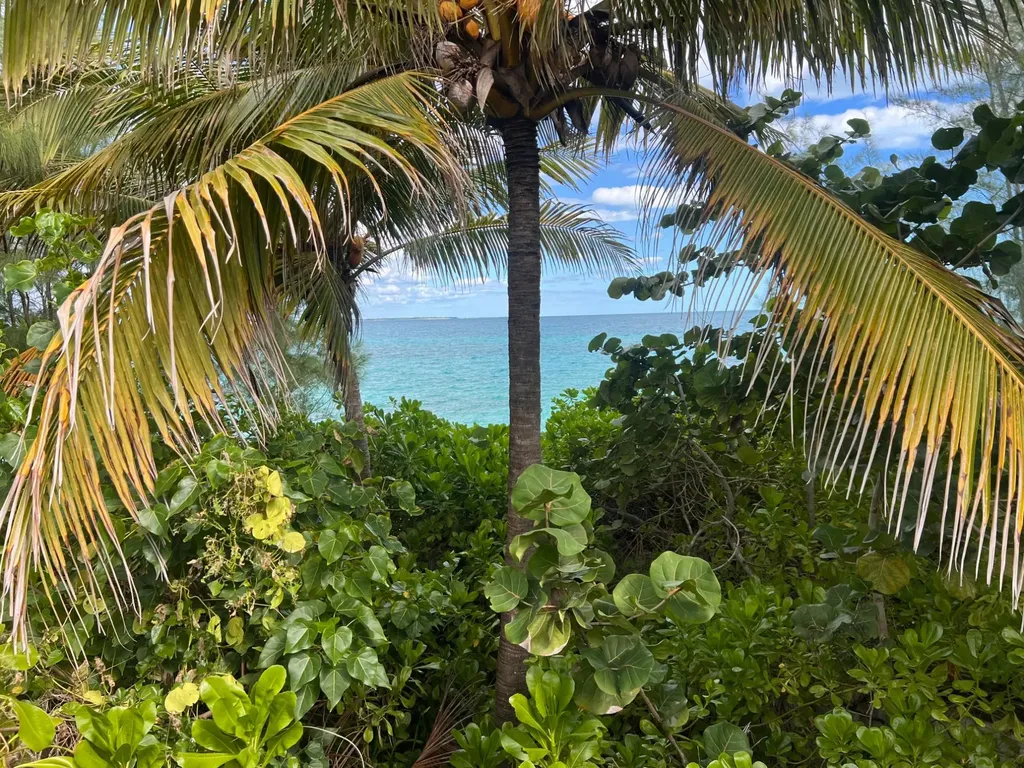 Chancery Lane Off Eastern New Providence Paradise Island BS — photo 5