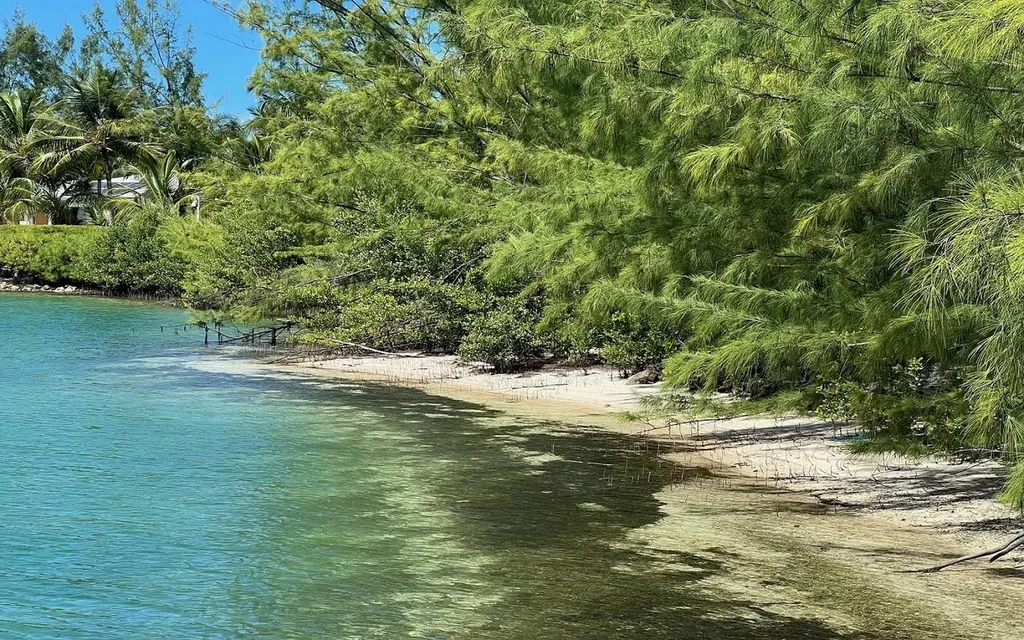 Lot 131, Rose Island New Providence Paradise Island BS — photo 4