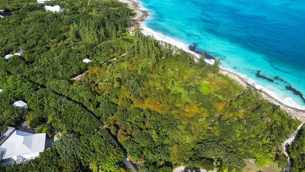 King's Highway, Man-o-war Abaco BS — photo 10
