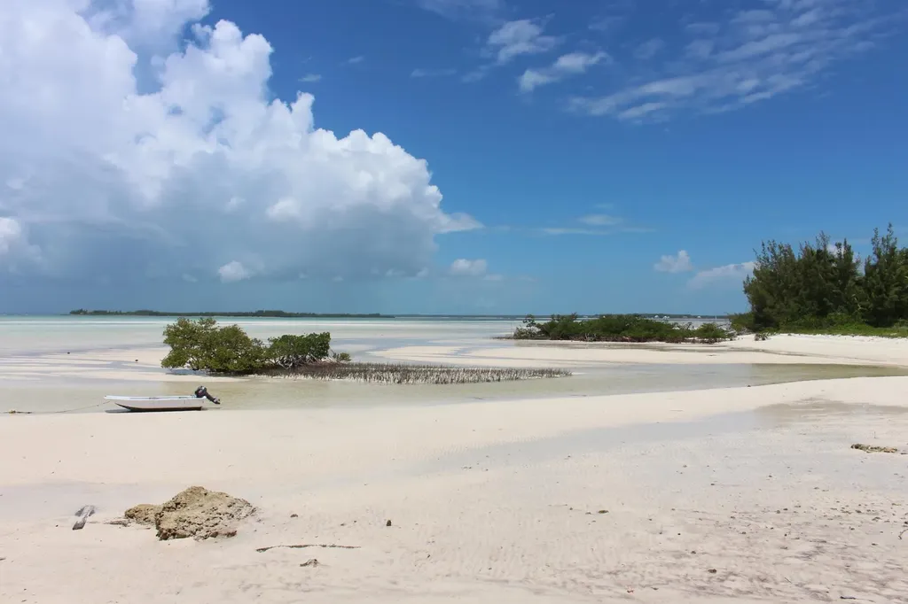 Cherokee Sound 74 Abaco BS — photo 4