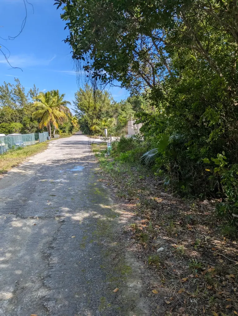 Ponciana Drive Bahama Pal 33 Abaco BS — photo 6
