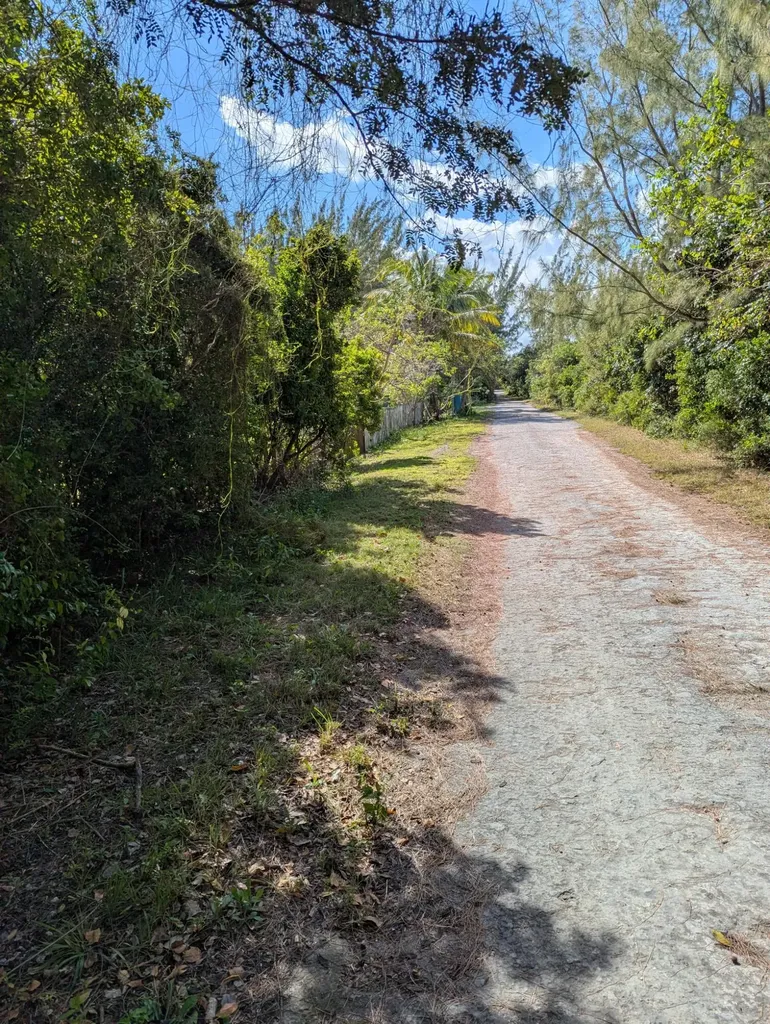 Ponciana Drive Bahama Pal 33 Abaco BS — photo 7