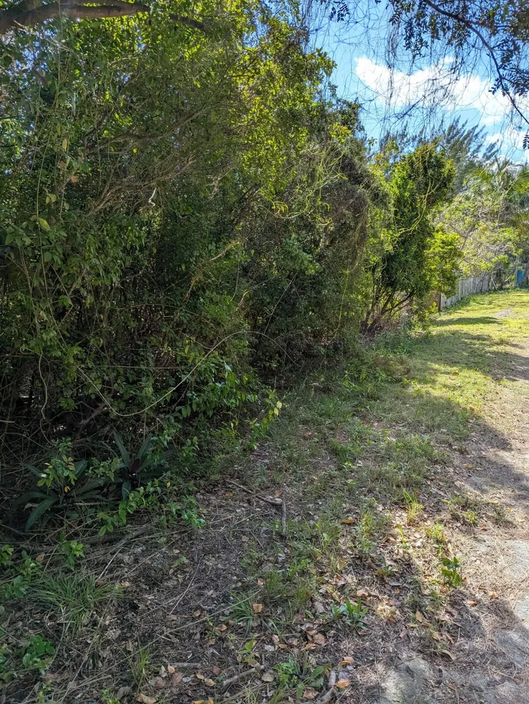 Ponciana Drive Bahama Pal 33 Abaco BS — photo 8
