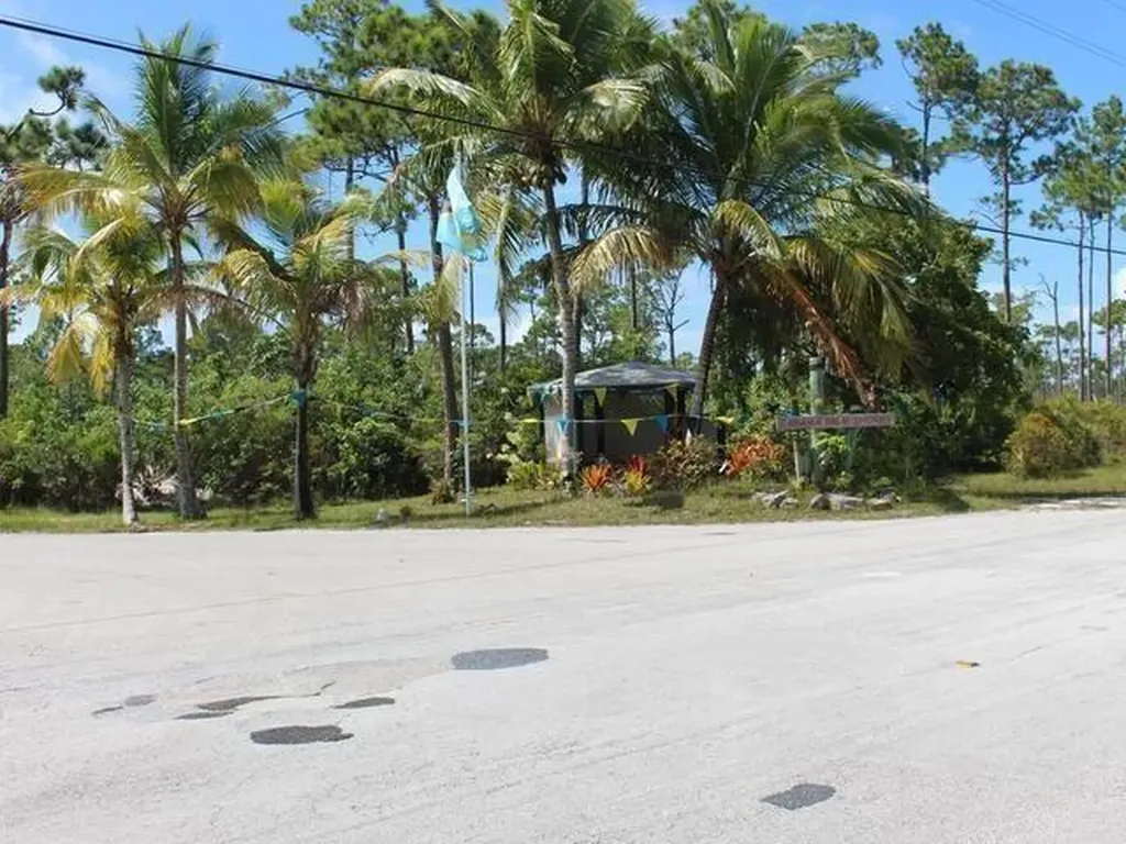 Ponciana Drive Bahama Pal 29 Abaco BS — photo 11