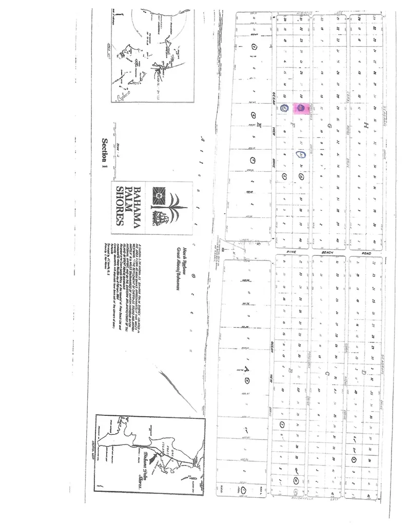 Ponciana Drive Bahama Pal 29 Abaco BS — photo 12