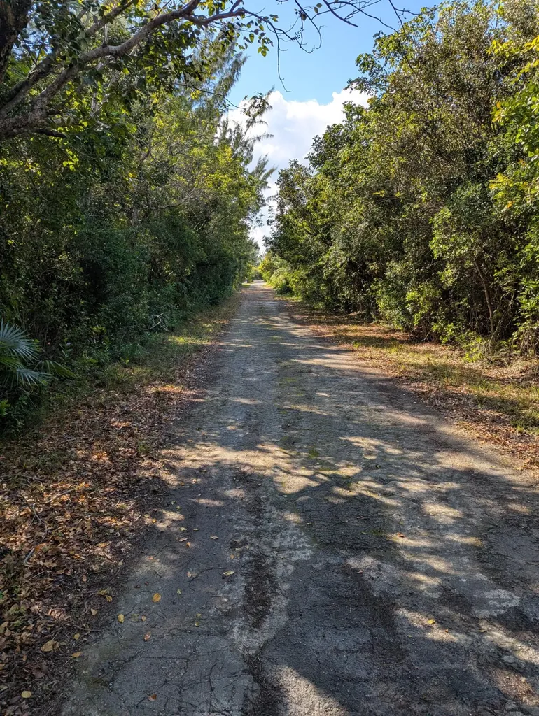 Ponciana Drive Bahama Pal 29 Abaco BS — photo 5