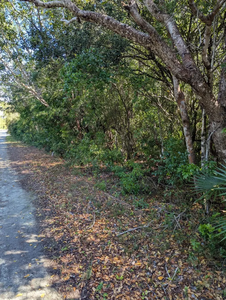 Ponciana Drive Bahama Pal 29 Abaco BS — photo 6