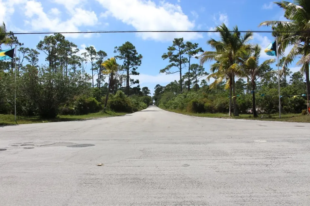 Ponciana Drive Bahama Pal 29 Abaco BS — photo 10