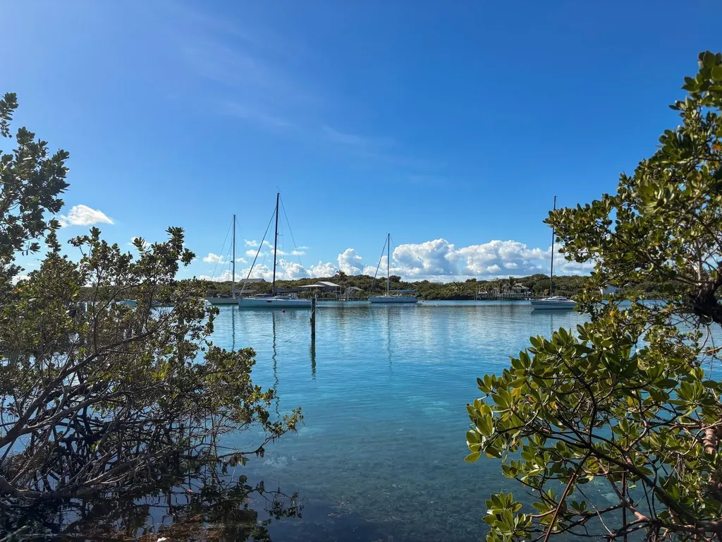 Man O War Cay Abaco BS — photo 4