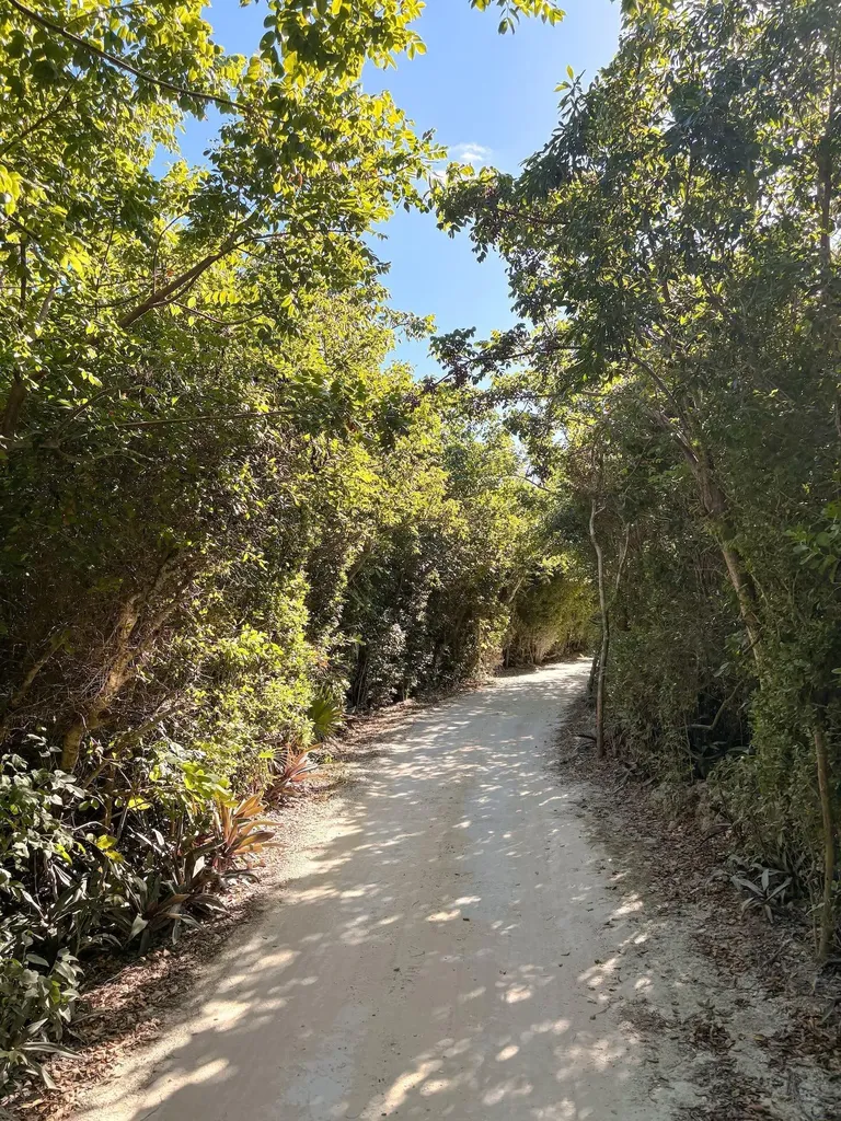 Man O War Cay Abaco BS — photo 2