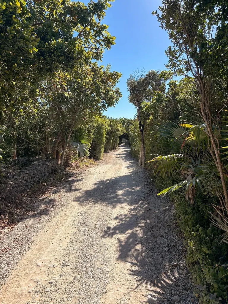 Man O War Cay Abaco BS — photo 4