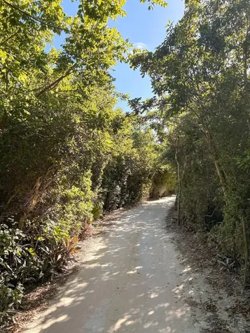 Man O War Cay Abaco BS — photo 9