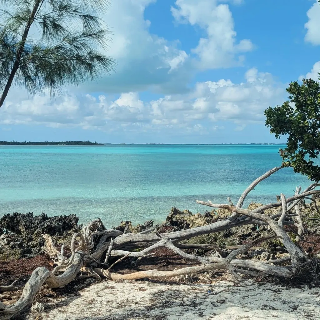 The Sanctuary Lot 3c Abaco BS — photo 9
