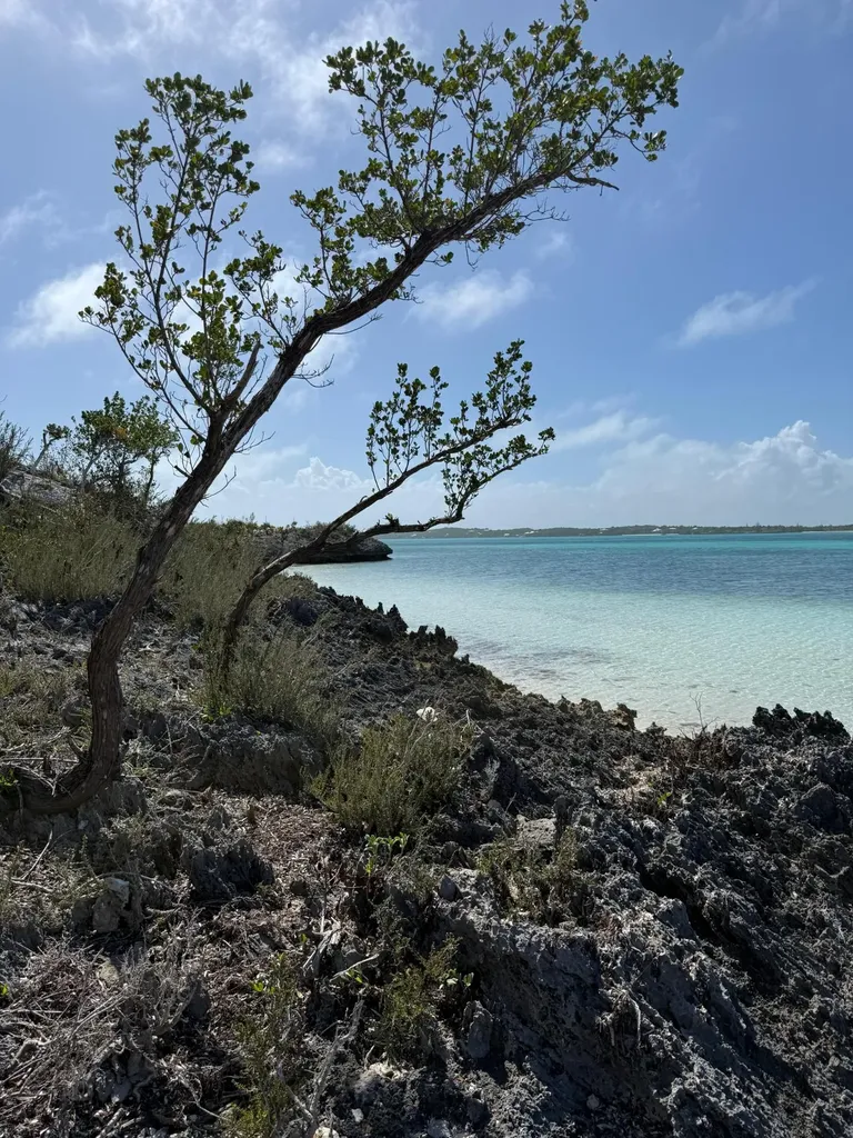 The Sanctuary Lot 4c Abaco BS — photo 8