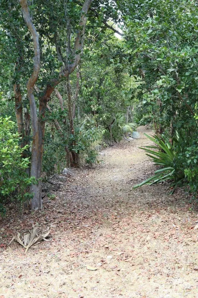 Lyford Hills New Providence Paradise Island BS — photo 4