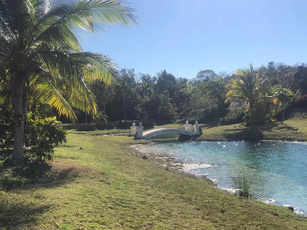 Lyford Hills New Providence Paradise Island BS — photo 10