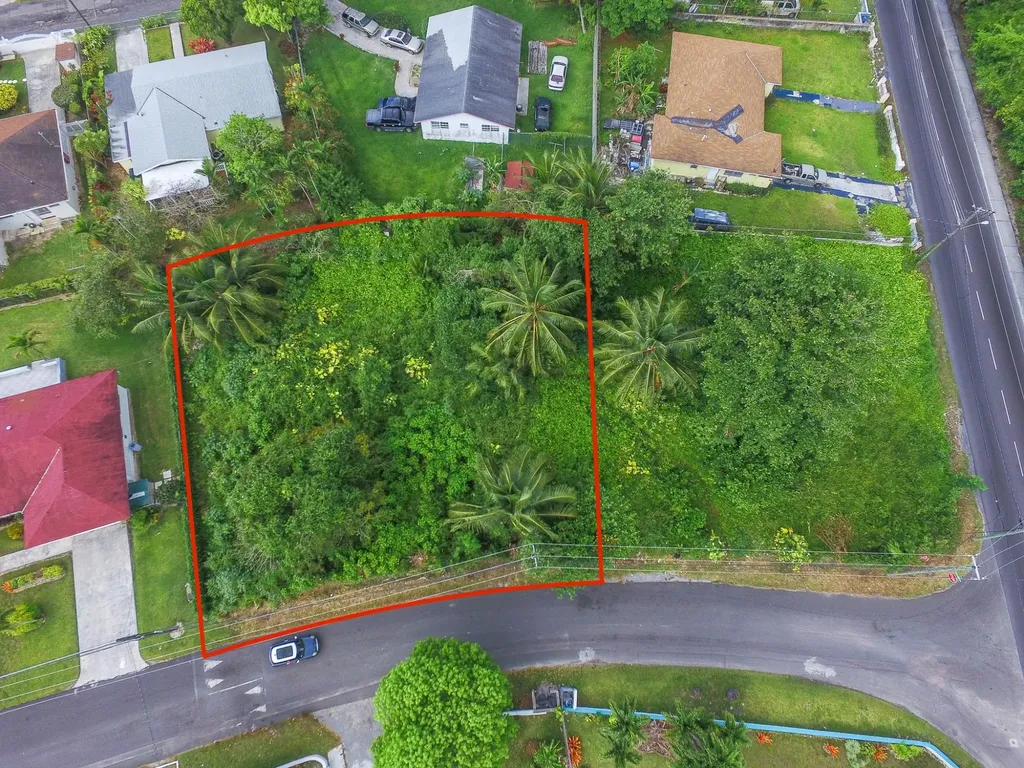 7 Dannottage Estates New Providence Paradise Island BS — photo 6