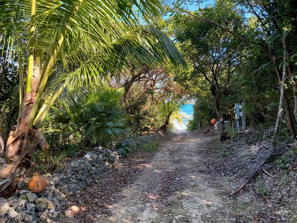 Lot 4 Summerview Abaco BS — photo 11
